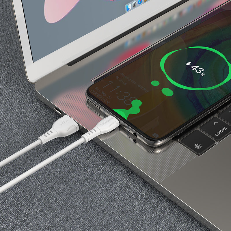 Καλώδιο Δεδομένων και Φόρτισης USB-A - USB-C Borofone BX51 Triumph, 20W, 1m, Λευκό