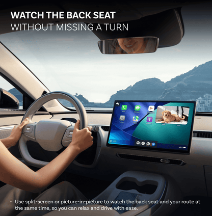 Προσαρμογέας Carplay Αυτοκινήτου Ottocast Cabin Care για Apple iPhone Series CA520-T