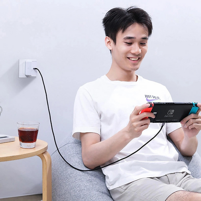 Καλώδιο Δεδομένων και Φόρτισης USB-C - USB-C UGREEN US316, 100W, 3m, Γκρι