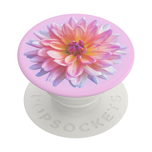Υποστήριξη PopGrip Popsockets Dahlia Icon, Πολύχρωμο